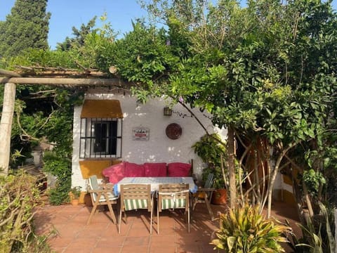 Balcony/Terrace, Garden view