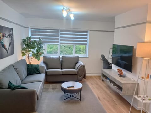 Oxfords 5 Star Lux 2 bedroom Flat near JR 5 pax, permit parking Apartment in Oxford