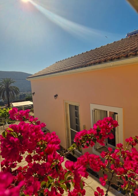 Property building, Spring, Day