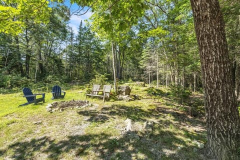 Cozy cottage in the woods House in Surry