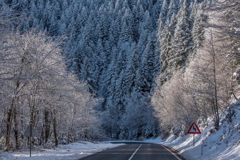 Natural landscape, Winter