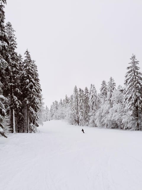 Natural landscape, Winter, Skiing