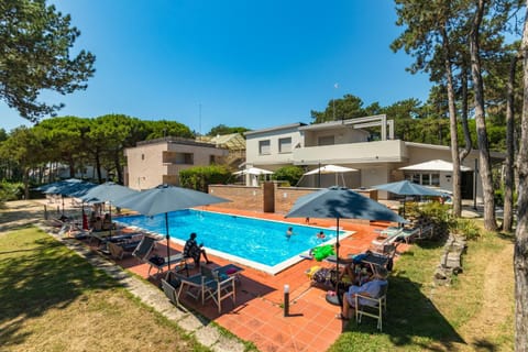 Garden, Pool view, Swimming pool, sunbed