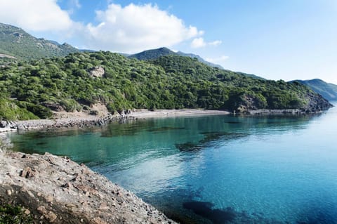 Natural landscape, Sea view