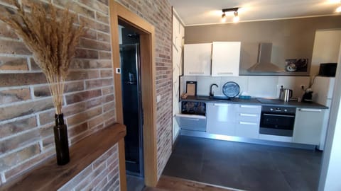 Kitchen or kitchenette, minibar, pet friendly, stove