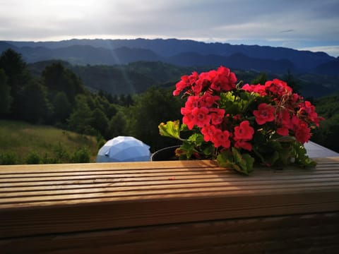 Spring, Day, Natural landscape, Mountain view