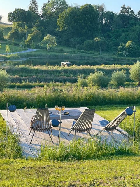 Patio, Natural landscape, sunbed