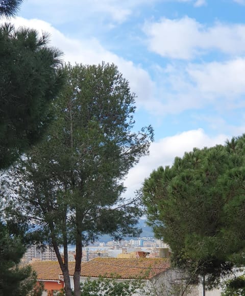 Sea view