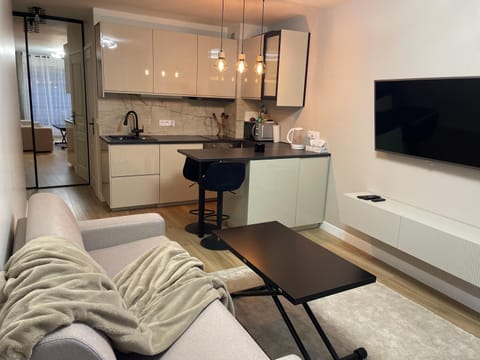 TV and multimedia, Kitchen or kitchenette, Living room, Seating area, Dining area, minibar, oven