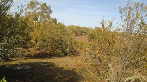 Villa Ugo House in Province of Taranto