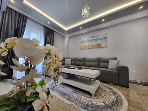 Living room, Seating area, air conditioner