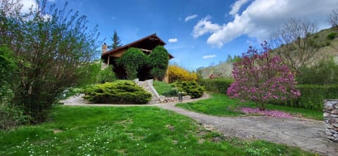 Spring, Day, Natural landscape, Garden, Garden view
