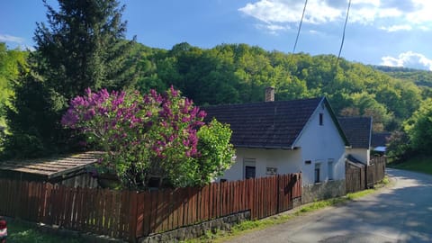 Garden, Mountain view