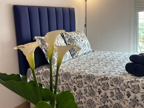 Bed, Photo of the whole room