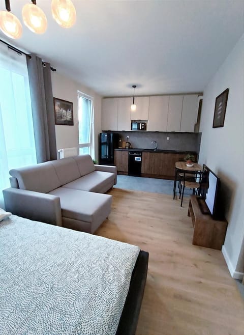 Kitchen or kitchenette, Photo of the whole room, Seating area, Dining area