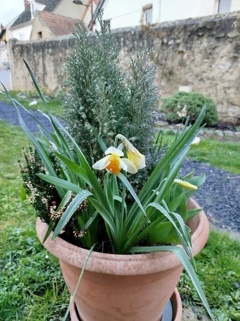 Château Besson Bed and Breakfast in Montluçon