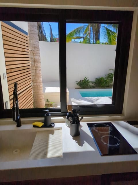 Kitchen or kitchenette, stove, kitchen