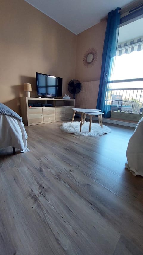 Studio Le Cosy Apartment in Centre-Val de Loire