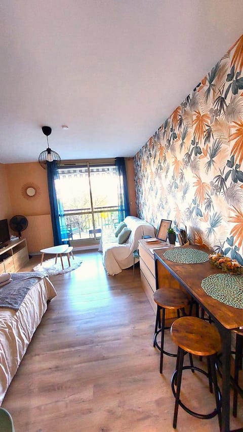 Studio Le Cosy Apartment in Centre-Val de Loire