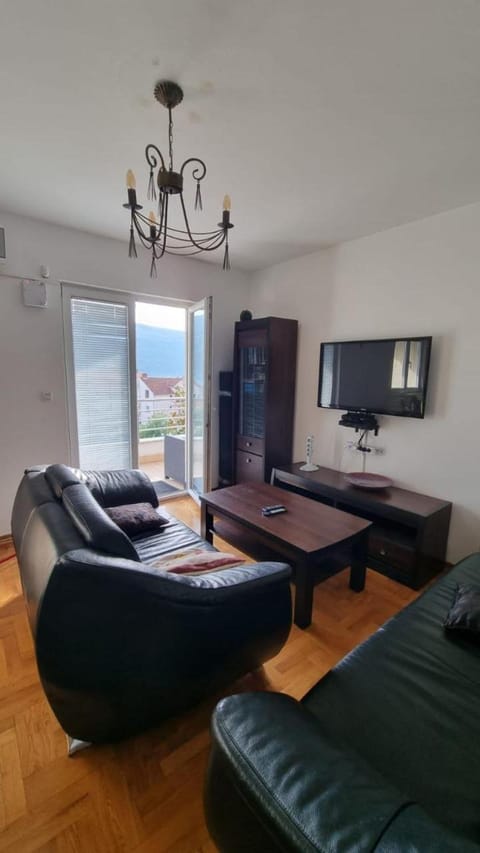 Aleksa Apartment in Kotor Municipality