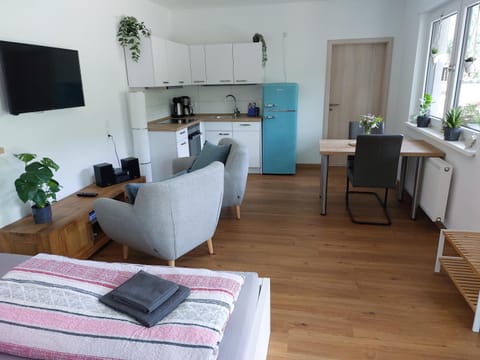 Bed, TV and multimedia, Kitchen or kitchenette, Living room, Photo of the whole room, Seating area, Dining area, Bedroom, stove, kitchen