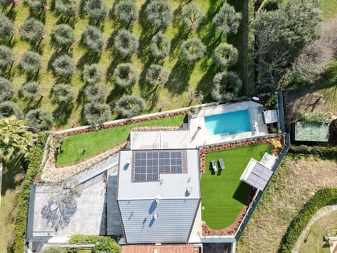 Bird's eye view, Garden view