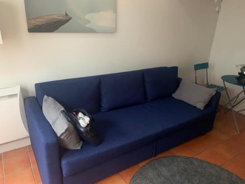 Bel appartement, idéal pour visiter Paris, Disney et du parc floral Apartment in Vincennes