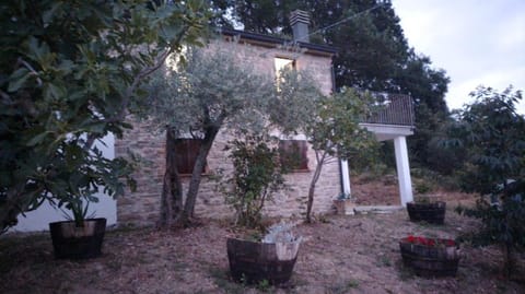 Property building, Garden, Garden view