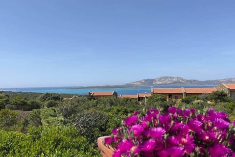 Terrazza vista mare Stintino Apartment in Stintino