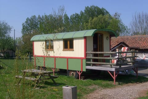 Property building, Garden, Garden view
