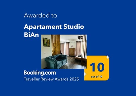 Apartament Studio BiAn Apartment in Timisoara
