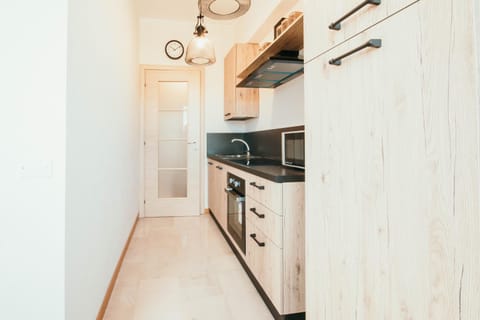 Kitchen or kitchenette, minibar, pet friendly, stove