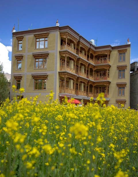 Property building