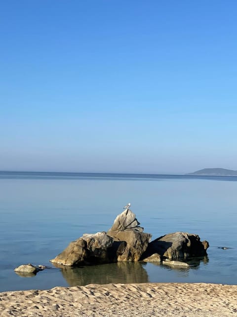 Nearby landmark, Natural landscape, Beach