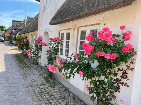 Property building, Spring, Street view