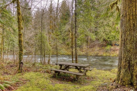 Thompson Cabin - Charming Salmon Riverfront A-Frame Oasis w/ fireplace Cabin in Welches
