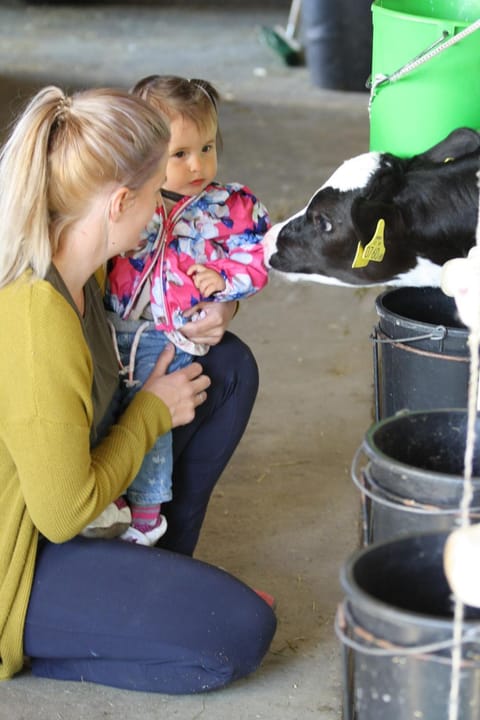 Ferienhof Kopf Apartment in Appenzell Innerrhoden, Switzerland