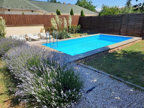 Garden, Garden, Swimming pool