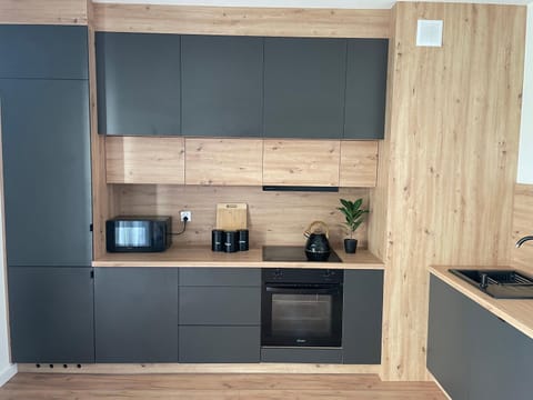 La Masuria Apartment Apartment in Lithuania