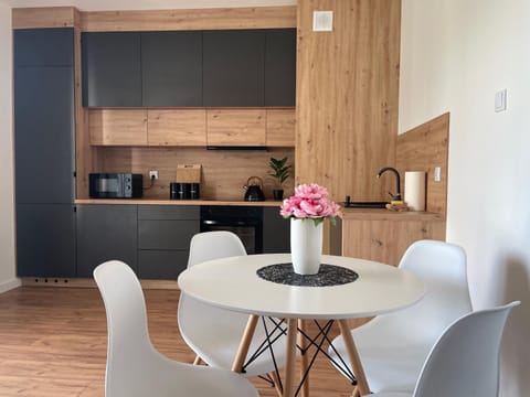 La Masuria Apartment Apartment in Lithuania