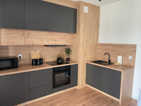 La Masuria Apartment Apartment in Lithuania