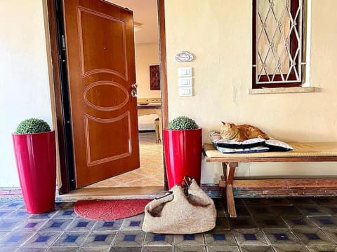 Villa Maria Grazia House in Capannori