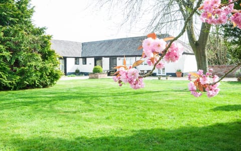 Spring, Natural landscape, Garden, Garden view