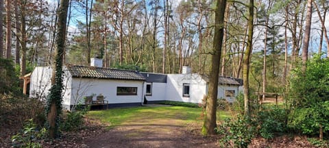 Property building, Day, Garden view