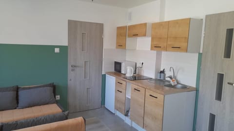 Apartament u Krystynki Apartment in Lithuania