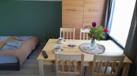 Apartament u Krystynki Apartment in Lithuania