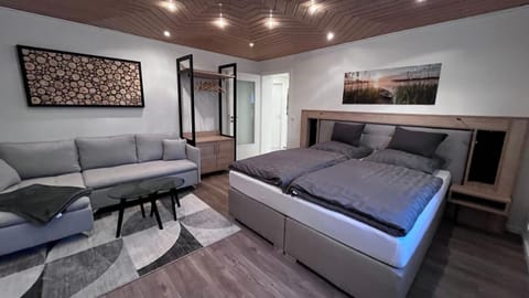 Bed, Living room, Photo of the whole room, Seating area, Bedroom