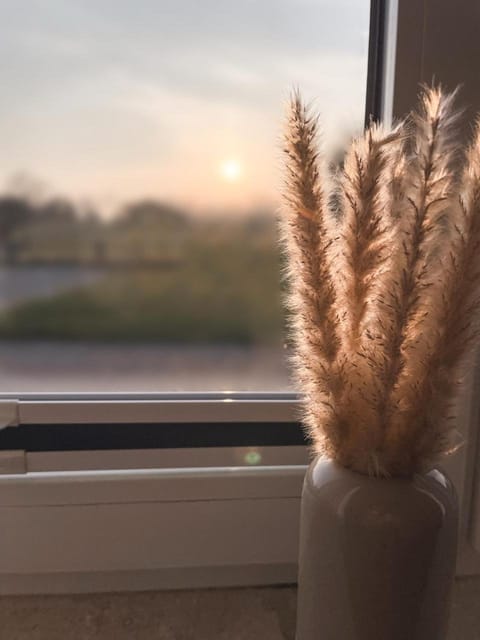 Nordisch Nature Apartments Apartment in Nordfriesland