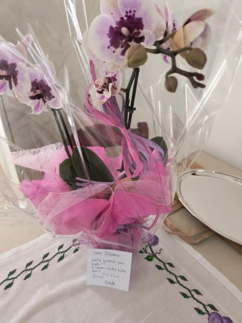 Cosy Home Apartment in Belluno