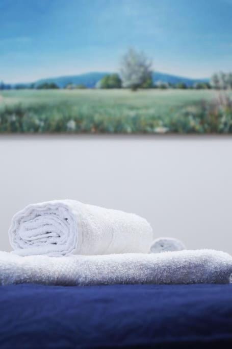 Apartment Tori Apartment in Zadar